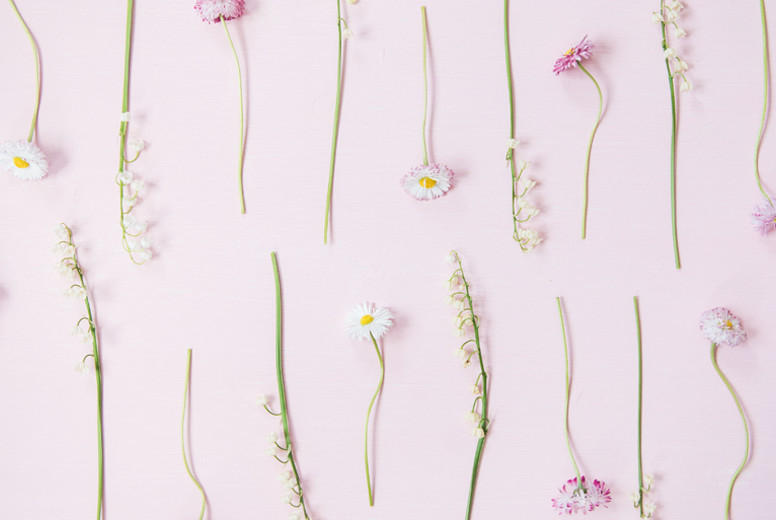 Flat-lay of lily of the valley and daisy flowers over pastel pink background, wide composition