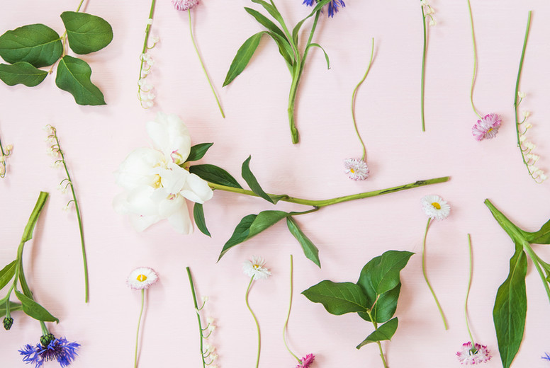 Flat-lay of lily of the valley, cornflower, daisy and peony garden flowers, wide composition