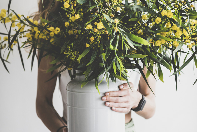 Spring mimosa branches in vase in hand of woman
