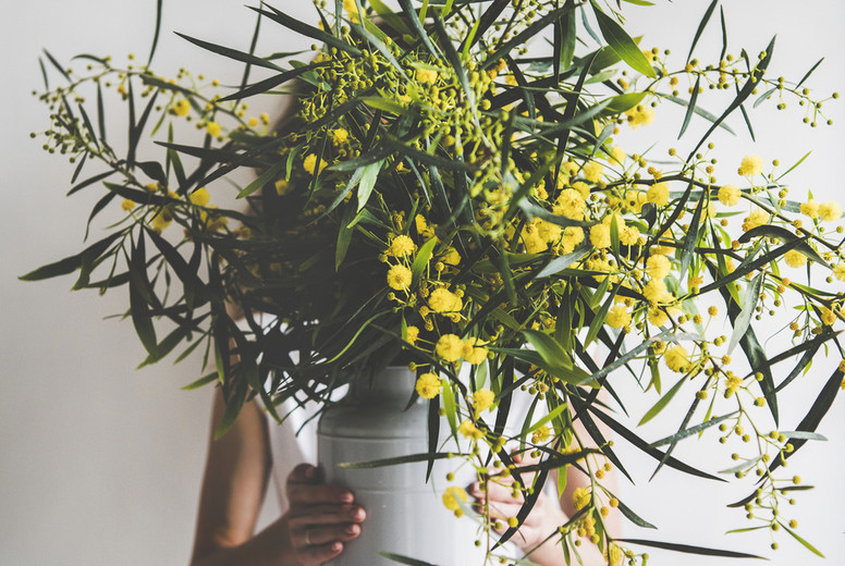 Spring mimosa branches in vase in hand of young woman