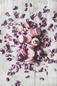Sweet macaron cookies and rose buds and petals  vertical composition