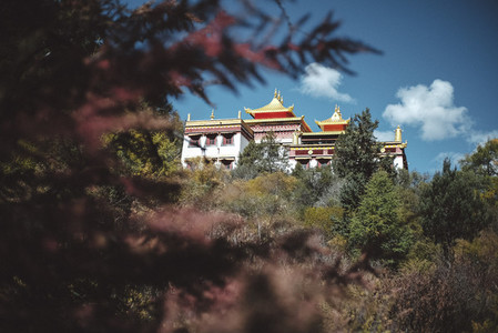 Chongu Temple  China