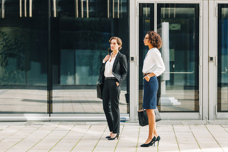 Two women colleagues standing