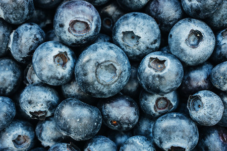 Blueberries food background