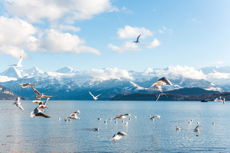 Lake Thun  Switzerland