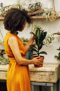 Woman looking on a ficus