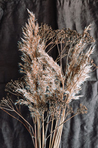 Macro view of dried grass for creating interior design decoration