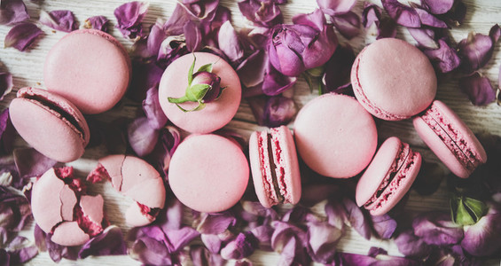 Sweet pink macaron cookies and rose buds and petals  close up