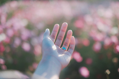 Hand on cosmos garden background