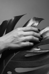 Hand on the monstera leaf Black and white photography Abstract composition