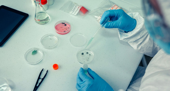 Scientist with a petri dish in the laboratory