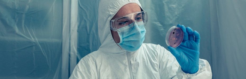 Scientist examining a petri dish in the laboratory