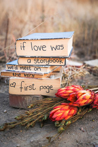 If love was a story Book