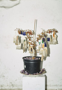 Dried tea bags hanging from dead potted plant
