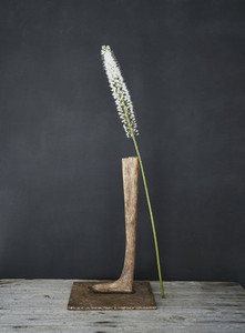 White flower stem leaning against wooden pedestal