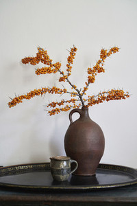 Orange Sea Buckthorn plant in vase on tray