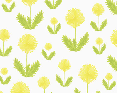 Illustration of yellow dandelion flowers on white background