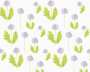 Illustration of dandelions on white background