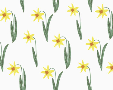 Illustration of yellow narcissus on white background