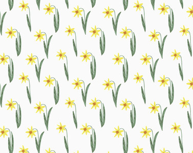 Illustration of yellow narcissus on white background