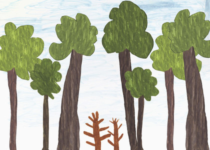 Childs drawing of big and small trees