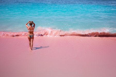 Pink Beach  Indonesia