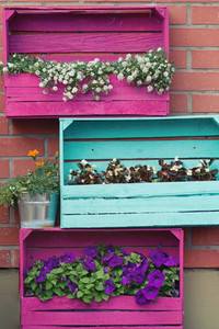 Bright colored wooden boxes with flowers  European exterior design