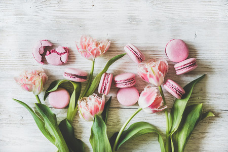 Sweet pink macaron cookies and spring fresh tulip flowers