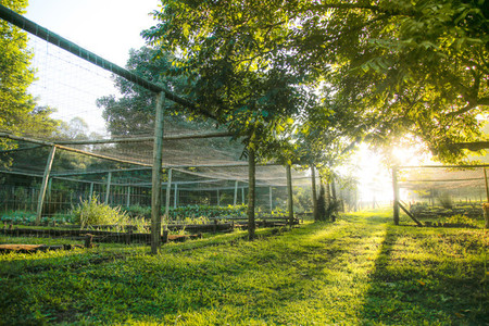 Food and Food Preparation Food and Food Preparation