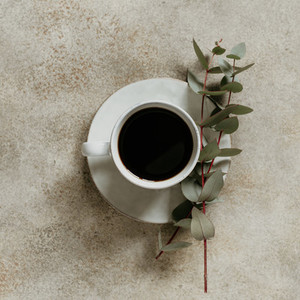 Cup of black coffee and eucalyptus branches on a textured beige background
