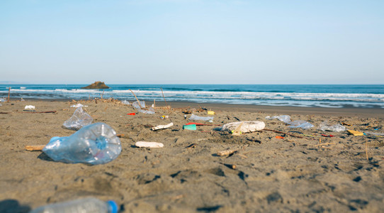 Dirty beach landscape full of waste