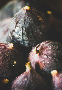 Fresh ripe seasonal harvested wet purple figs  close up