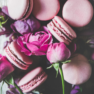 Sweet macarons and rose flowers  buds and petals  square crop