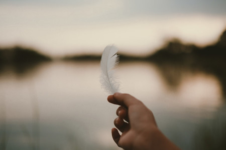Hand holding a feather
