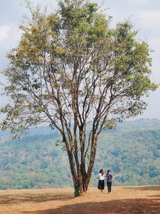 Two women standing under tree