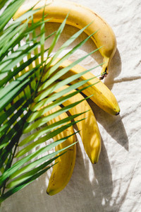 Summer abstract composition with bananas and palm leaf