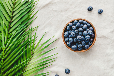 Blueberry in a wooden bowl on a linen napkin decorated with palm leaf  Eco friendly and summer background