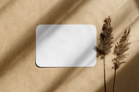 Top view of blank paper sheet on a beige kraft background with dry grass Mockup for business template copy space