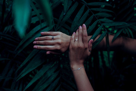 Woman hands on green leaves