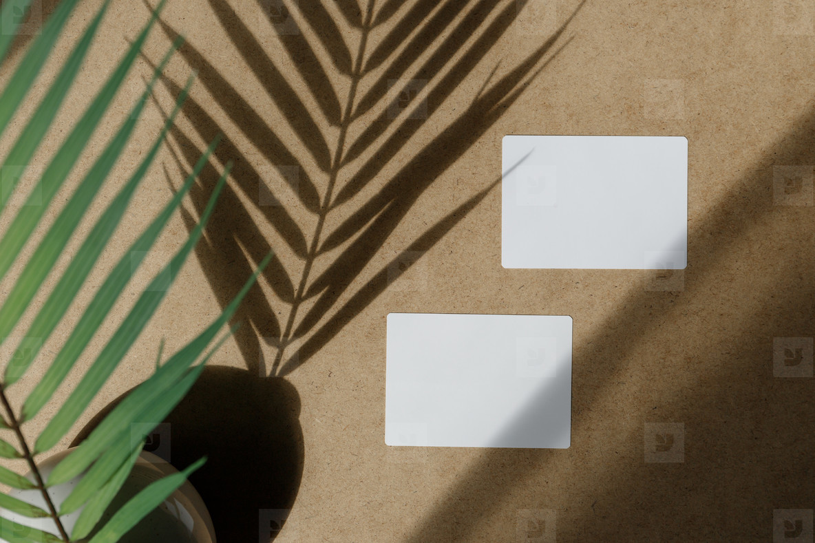 Top view of two blank paper sheet cards on a kraft background with a palm leaf  Beige or sand tones  Mockup for business template  copy space