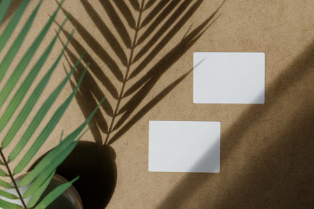 Top view of two blank paper sheet cards on a kraft background with a palm leaf  Beige or sand tones  Mockup for business template  copy space