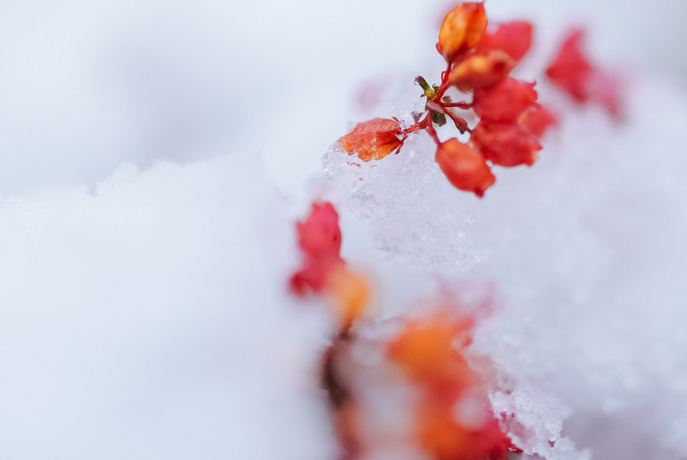 Oerlikon, Switzerland