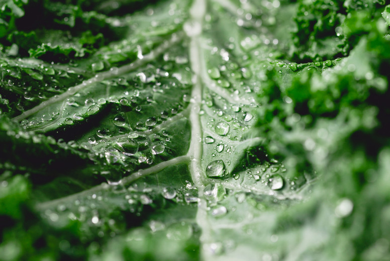 Fresh curly kale salad over dark rustic background.