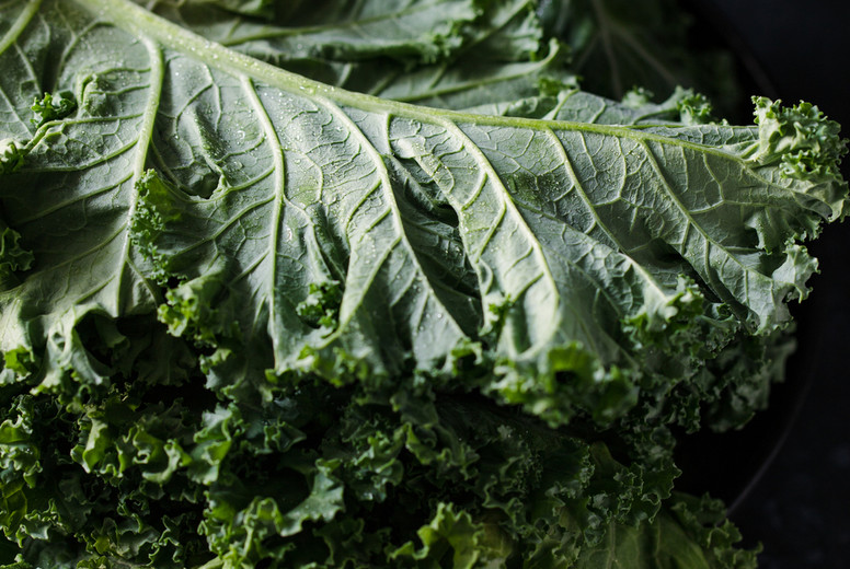 Fresh curly kale salad over dark rustic background.