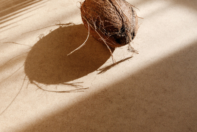 Summer abstract creative composition with coconut and shadow of palm leaf on kraft paper.