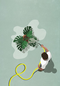 Man with hose watering tropical plant