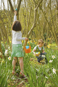 Brother and sister enjoying Easter egg hunt among trees and daffodils