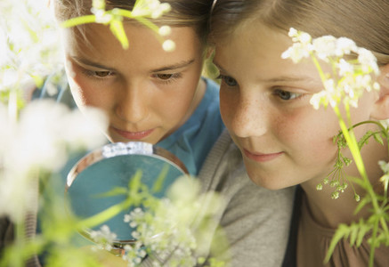 Close up curious girls with magnifying glass examining flower