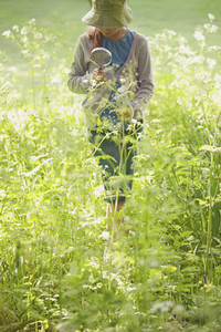 Girl with magnifying glass examining plants and flowers