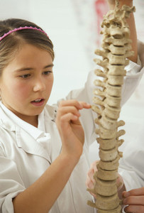 Curious junior high school girl examining spine model in science class